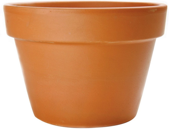 Pennington Fern Azalea Pot - 10.5 in