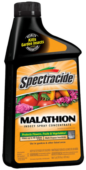 Spectracide Malathion Insect Spray Concentrate Insecticide - 16 oz