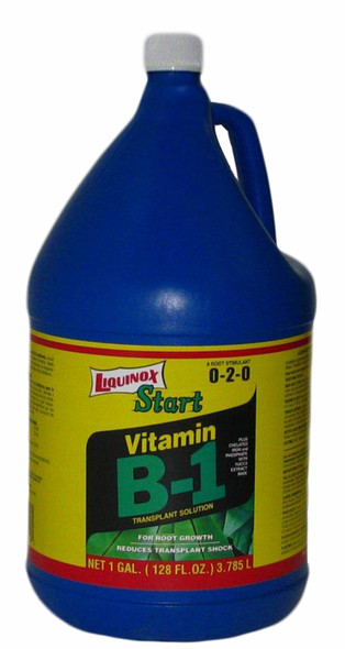 Liquinox Start Vitamin B-1 Transplant Solution 0-2-0 - 1 gal