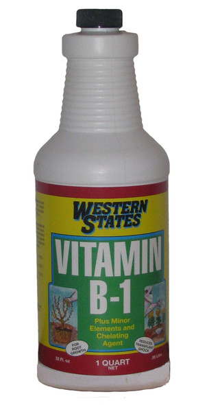 Liquinox Western States Vitamin B-1 - 32 oz