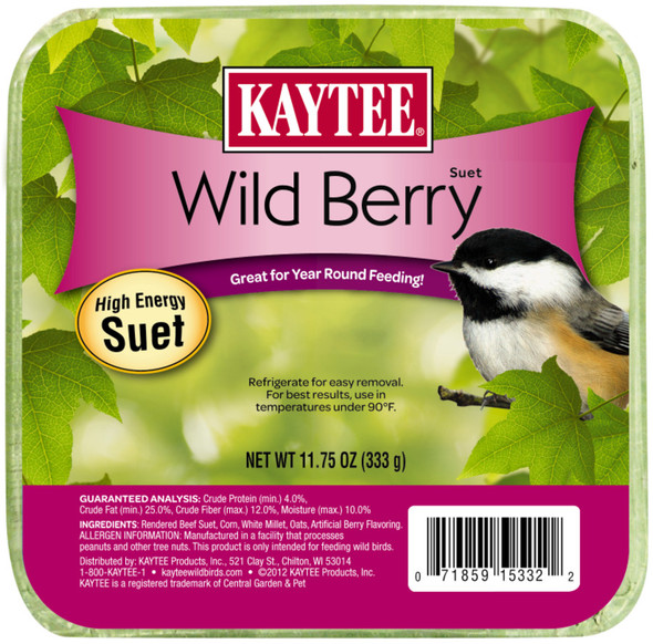Kaytee Wild Berry High Energy Mini Suet 11.75 oz