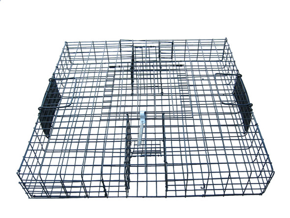 Rugged Ranch Squirrelinator Live Trap - 23.25In X 23.25In X 4 in - Not Applicable