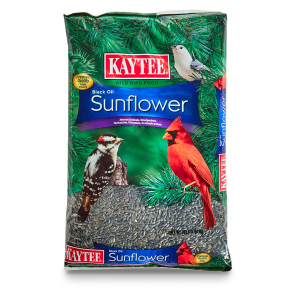 Kaytee Black Oil Sunflower Food - 10 lb