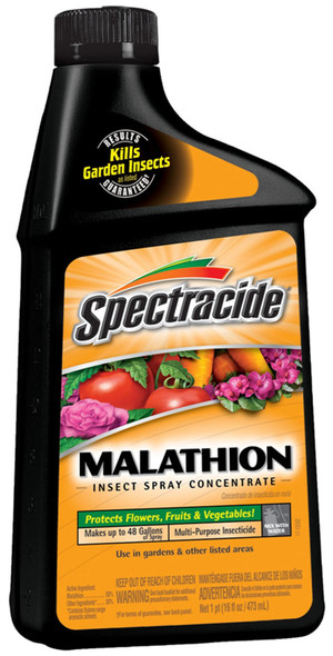 Spectracide Malathion Insect Spray Concentrate Insecticide - 32 oz