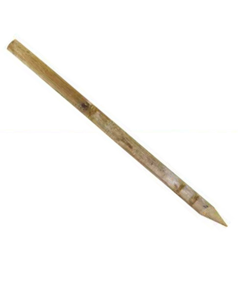 Bond Lodge Pole Stakes - 10 ft