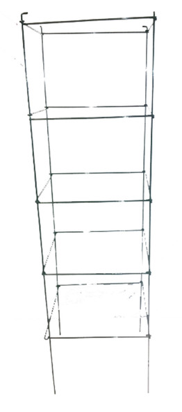 Midwest Wire Works Collapsible Square Cage 4-Leg Heavy-Duty - 60 in