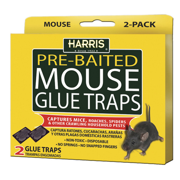 Harris Mouse Glue Traps Pre-Baited 2 pk
