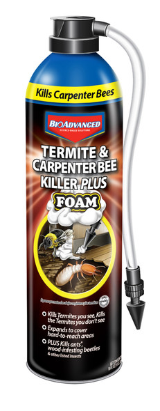 BioAdvanced Termite & Carpenter Bee Killer Foam - 18 oz