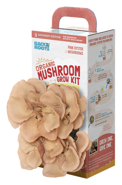 Back to the Roots Organic Mushroom Grow Kit Pink