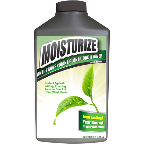 Messina Moisturize Concentrate 32 oz