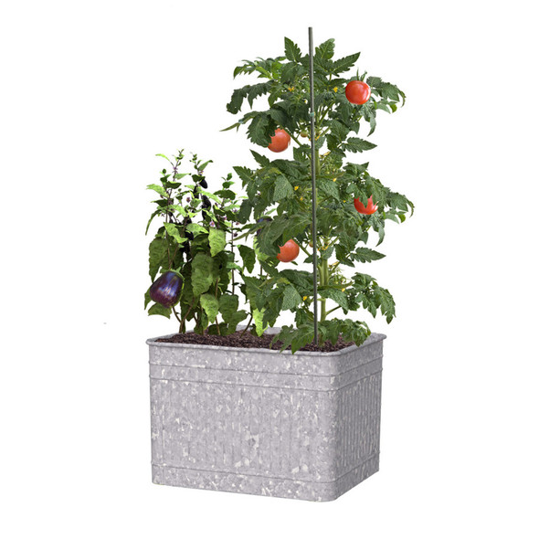 Panacea Galvanized Raised Planter - 22In (L) X 18In (H) X 22In (D)