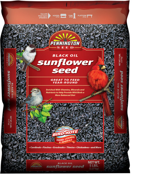 Pennington Black Oil Sunflower Bird Food - 5 lb