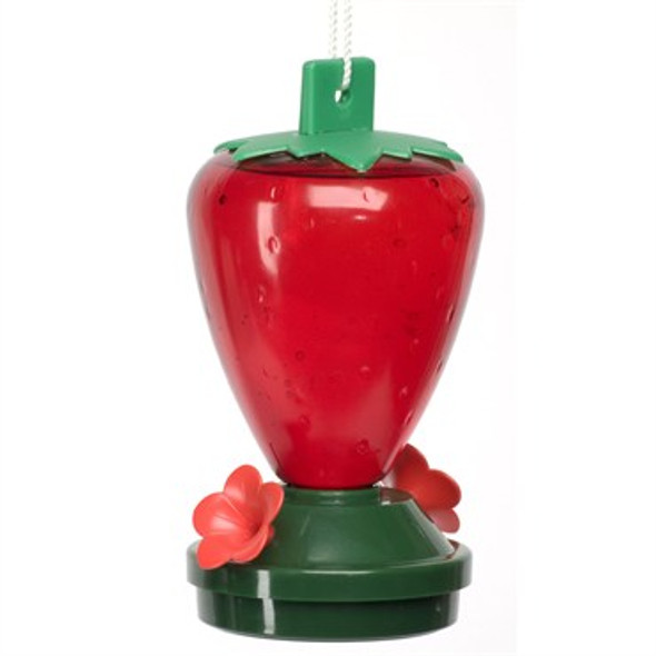 Artline 12oz StrawberryHummingbird Feeder