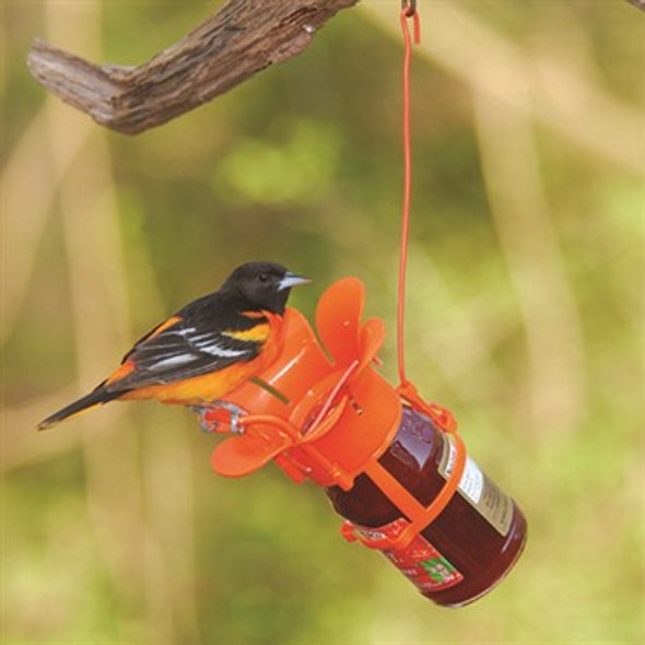 Songbird Essentials Jelly/Jam Oriole Feeder 12oz Capacity