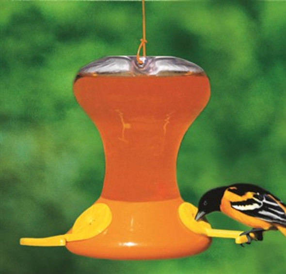 Bird Company 30oz OrioleFeeder Jr W/active Bee G