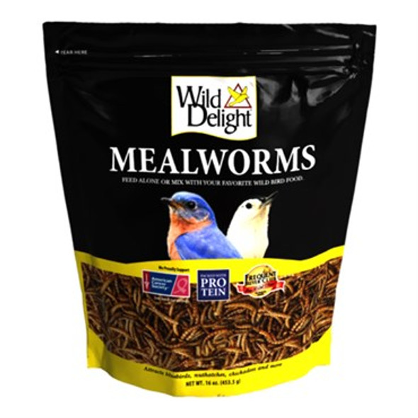 Wild Delight 16ozMealworms