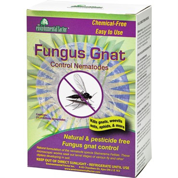 Enviro Nematodes FungusGnat Control