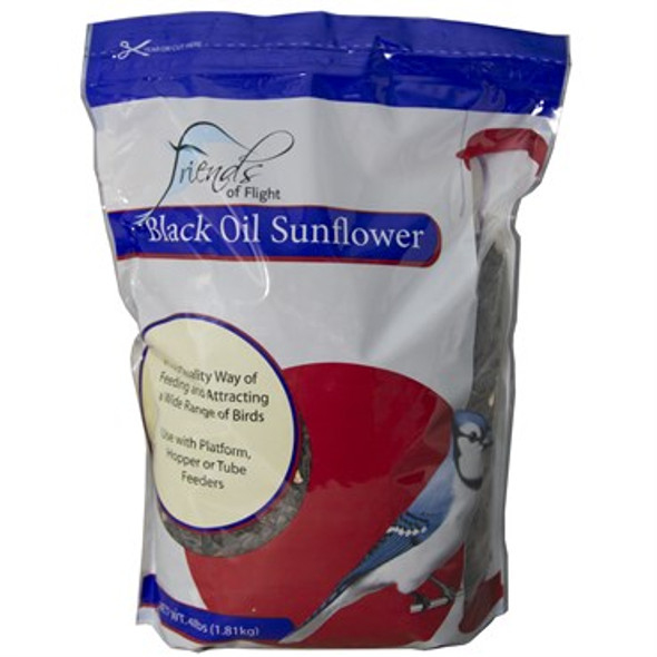 FOF 4# Black OilSunflower