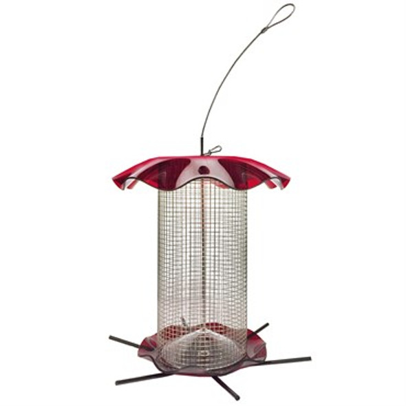 Friends of Flight Acrylic Feeder Red - Seed - 3qt Capacity - 12in Diam x 11in H