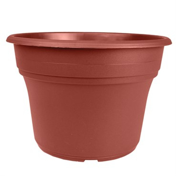 HC Companies Panterra Pot Clay - 8in