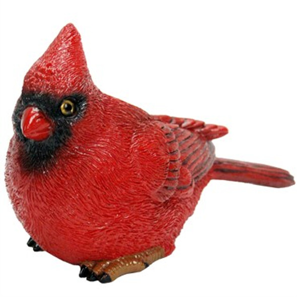 MCarr Small Cardinal