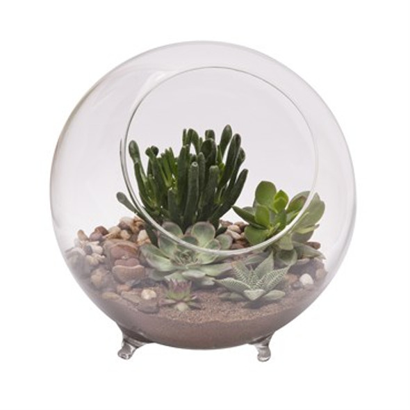 Panacea Large Glass Terrarium With Feet 10in