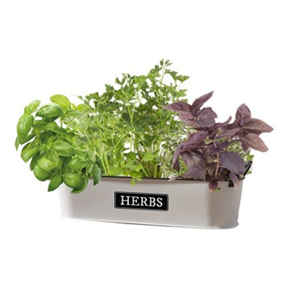 Panacea Milkhouse Short Oval Herb Planter 16in