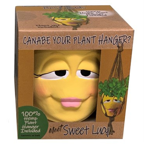Primitive PlantersBoxed Best Buds Pot w/ Hanger Yellow - Sweet Lucy