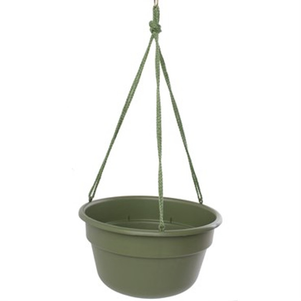 Bloem Dura Cotta Hanging Basket Living Green - 12in