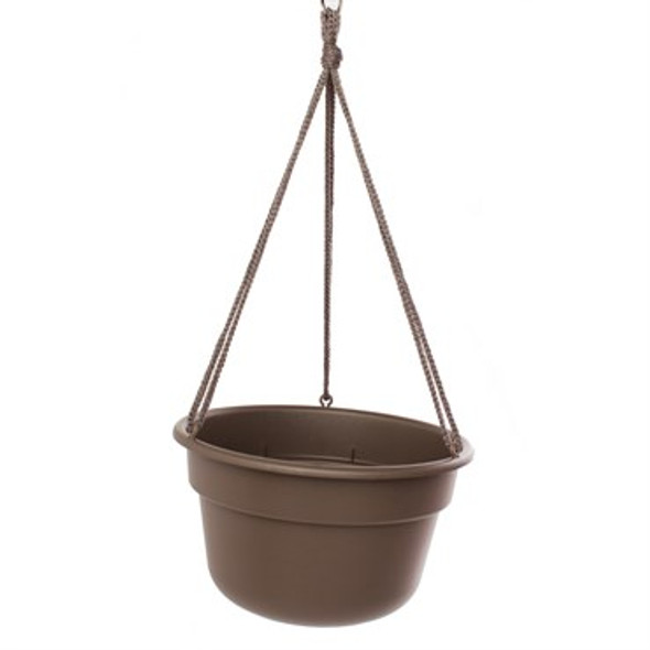 Bloem Dura Cotta Hanging Basket Chocolate - 12in