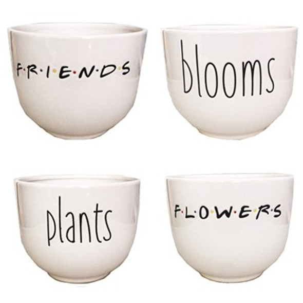 Very Cool Stuff Ceramic Words Planters Assorted - 8in Diam