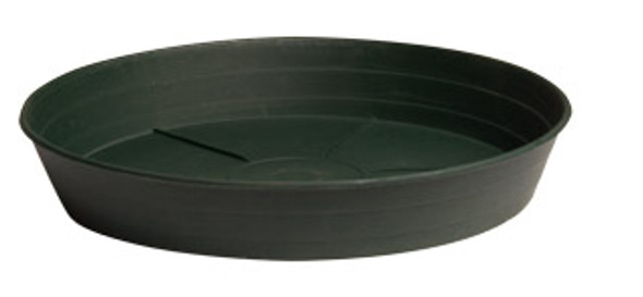 Green Premium Saucer, 8, pack of 25