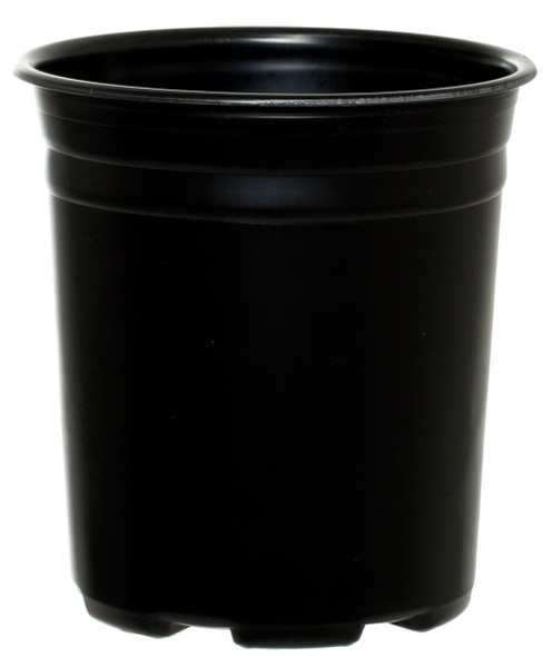 Pro Cal Thermo Pot, Heavy, 1 gal