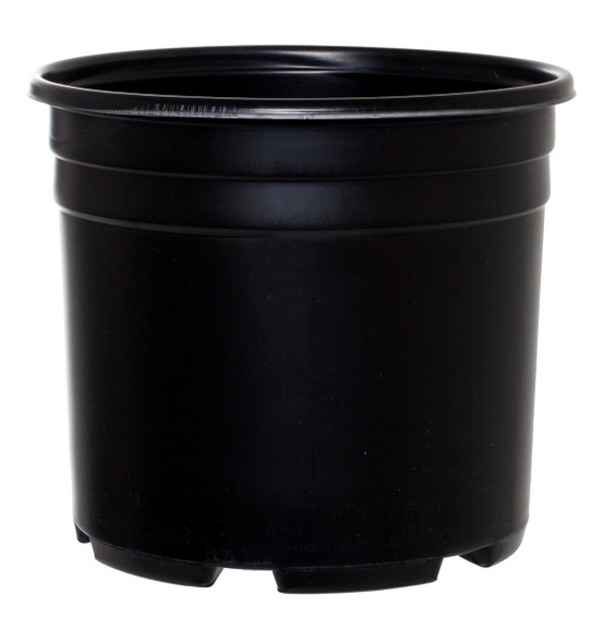 Pro Cal Thermo Pot, Squat, 3 gal