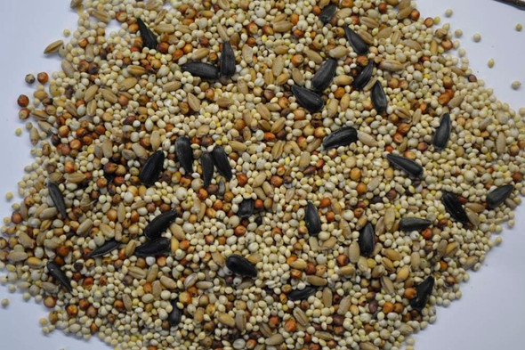 Volkman Seed Company Phoenix Wildbird Mixed Seed Food - 20 lb
