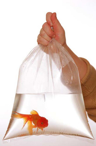 Gene Rodriguez Company Plastic Fish Bags - Clear - 6 In X 12 in