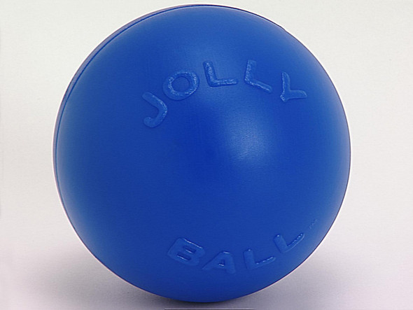 Jolly Pet Push-n-Play Plastic Dog Toy - Blue - LG