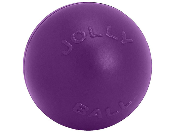 Jolly Pet Push-n-Play Plastic Dog Toy - Purple - LG