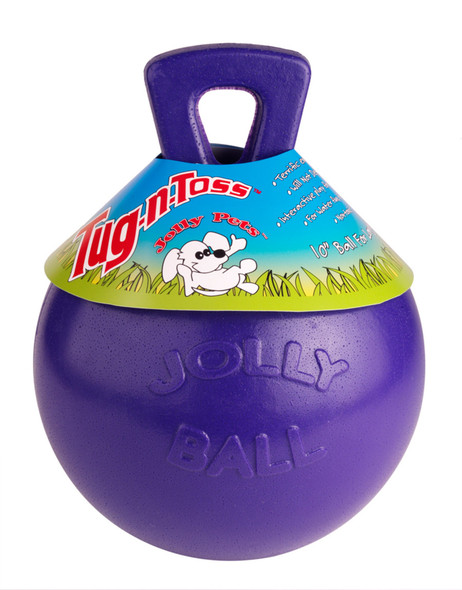 Jolly Pet Tug-n-Toss Dog Toy - Purple - 6 in