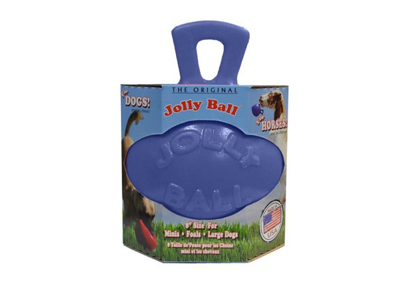 Jolly Pet Tug-n-Toss Dog Toy - Blue - 8 in