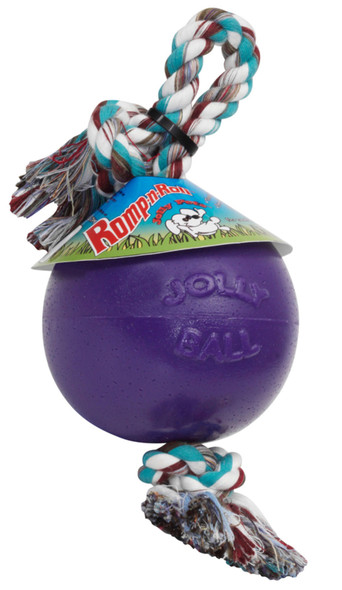 Jolly Pet Romp-n-Roll Dog Toy Durable - Purple - MD