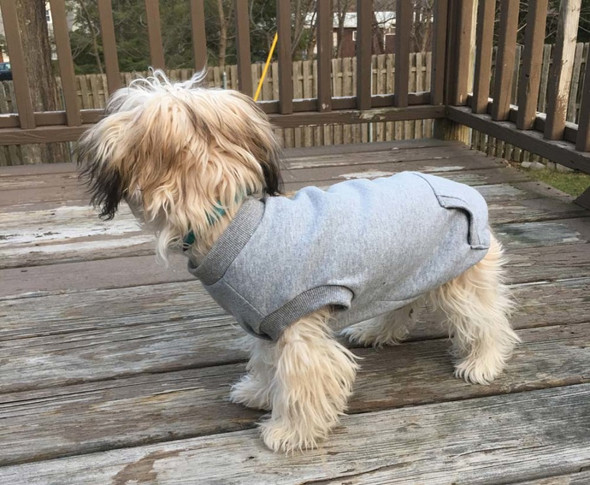 Fashion Pet Dog Sweatshirt - Grey - LG