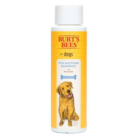 Burt's Bees Itch Soothing Shampoo with Honeysuckle - 16 oz