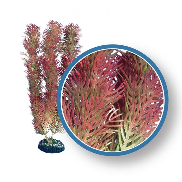 Weco Products Freshwater Pro Series Cabomba Aquarium Plant - Red - 24 in