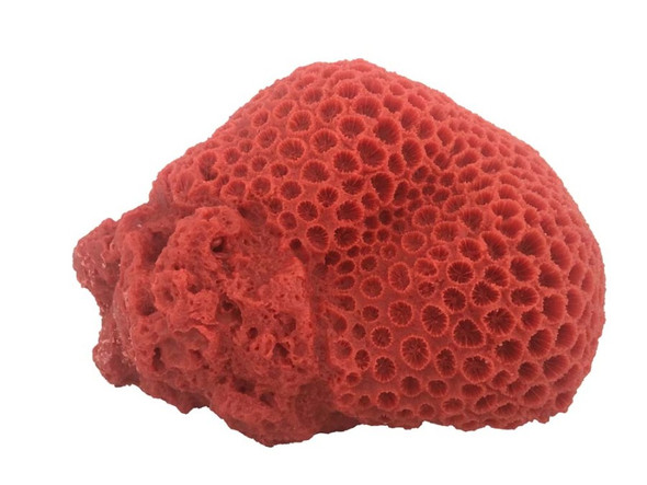 Weco Products South Pacific Coral Brain Ornament - Orange - LG