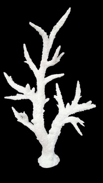 Weco Products South Pacific Coral Staghorn Tall Ornament - White - MD
