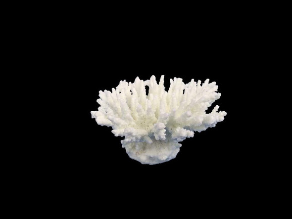 Weco Products South Pacific Coral Tabletop Ornament - White - XXS