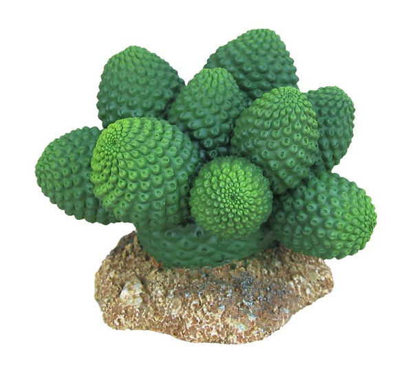 Weco Products Wecorama Badlands Pointed Sonoran Cactus Terrarium Ornament - Brown