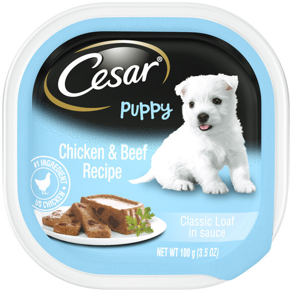 Cesar Classic Loaf in Sauce Puppy Wet Dog Food - Chicken & Beef - 3.5 oz