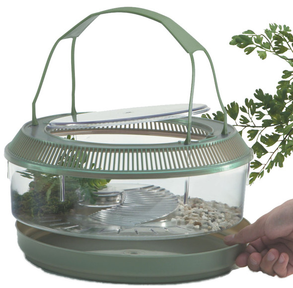 Lee's Aquarium & Pet Products Round Fire Belly Landing with Lid Handle Tray and Plant - Sage Green - 11 in